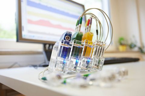 Krankheitsbilder und Therapie