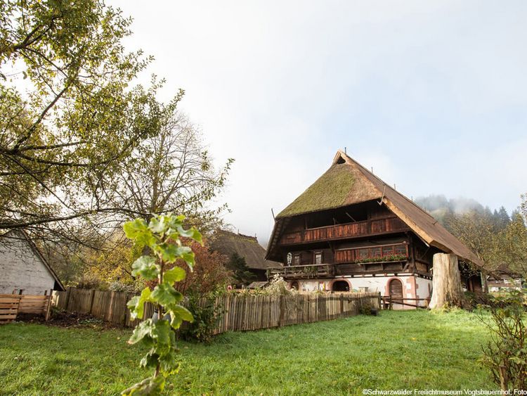 Freilichtmuseum Vogtsbauernhof in Gutach