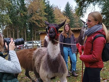 Lamatherapie in Donaueschingen in der Zeitschrift Tina