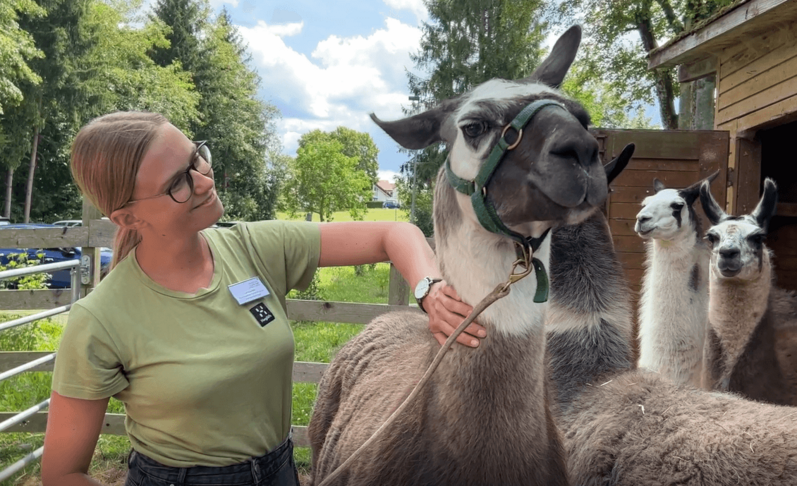 Tiergestützte Therapie