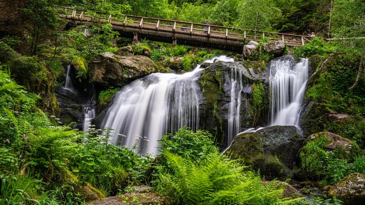 Wasserfälle rauschen in Triberg
